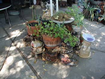 Neva's house 3 048